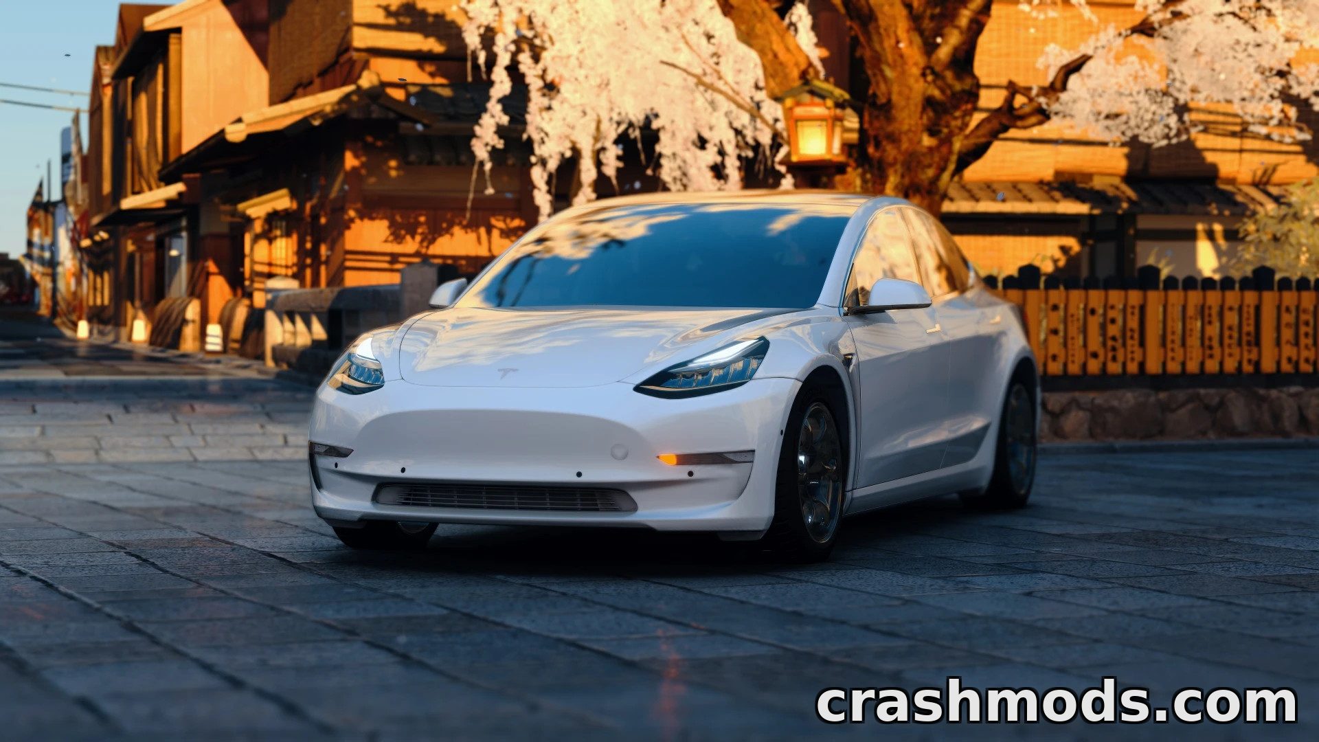 2019 Tesla Model 3 Pack – Four Electric Sedans – screenshot 2