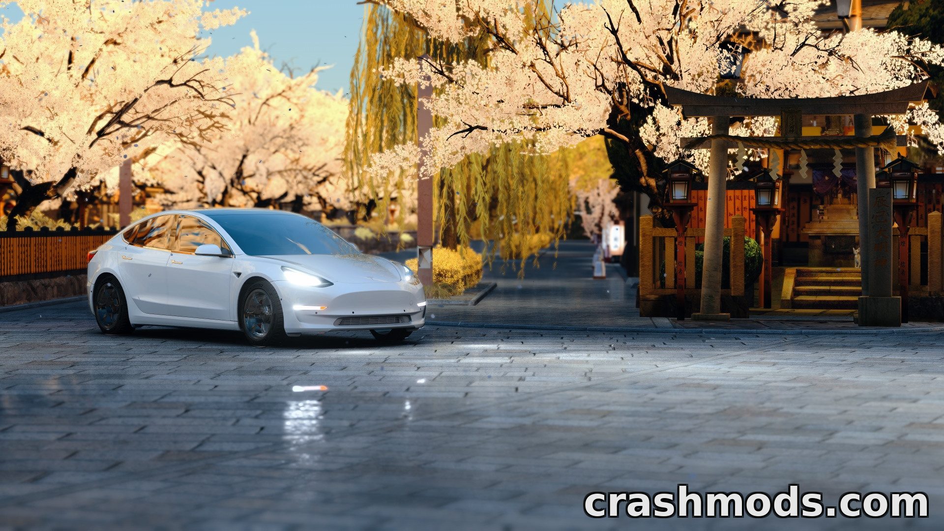 2019 Tesla Model 3 Pack – Four Electric Sedans – screenshot 6