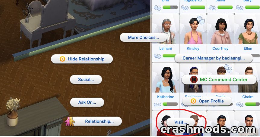 Age Your Sims – Bulk Life Stage Aging Tool – screenshot 10