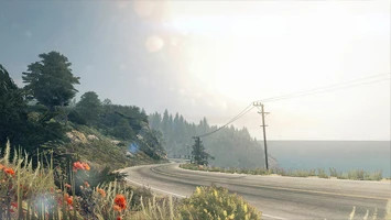 A winding coastal road lined with vibrant flowers, showcasing the scenic beauty of the Pacific Highway in Assetto Corsa.