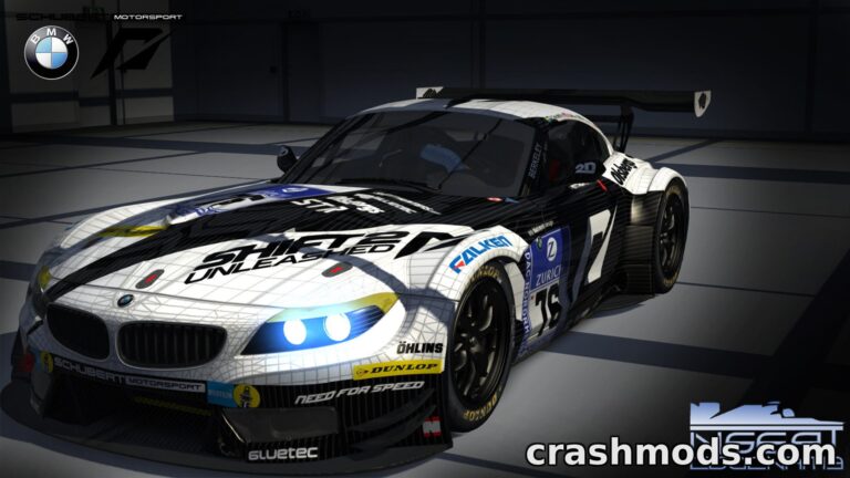 Schubert Motorsport Z4 GT3 2011 Nürburgring 24h – Racing Skin Assetto Corsa mod screenshot